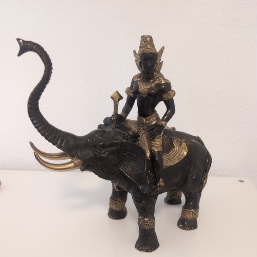 Asiatische elefant mit - asiatische, mahout