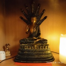 Buddha Statue Nag - Kanya